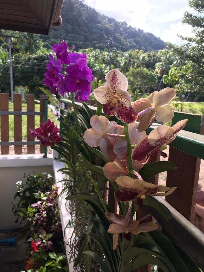Orchid Pool -Villa 4 Bedrooms Ко-Ланта Екстер'єр фото